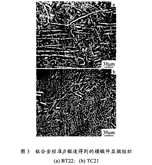 鈦合金經β鍛造造得到模鍛件顯微組織